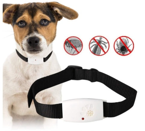 Dog insect repeller - Viral Pulse